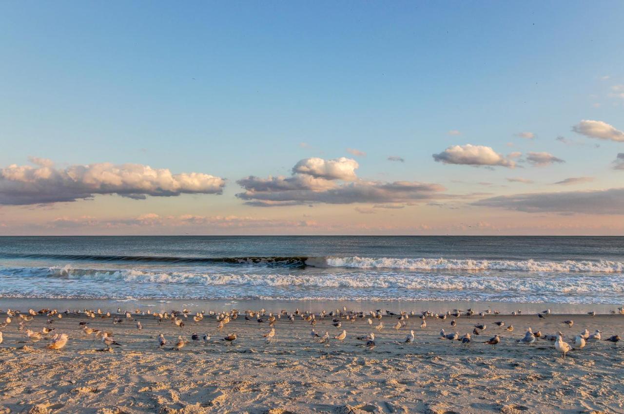Sea Turtle Myrtle Beach Exterior photo